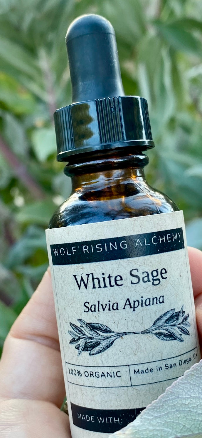 White Sage Tincture